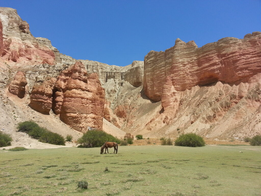 Beautiful view of Dhakmar with striking red rock cliffs and a horse grazing on the green pasture in front.