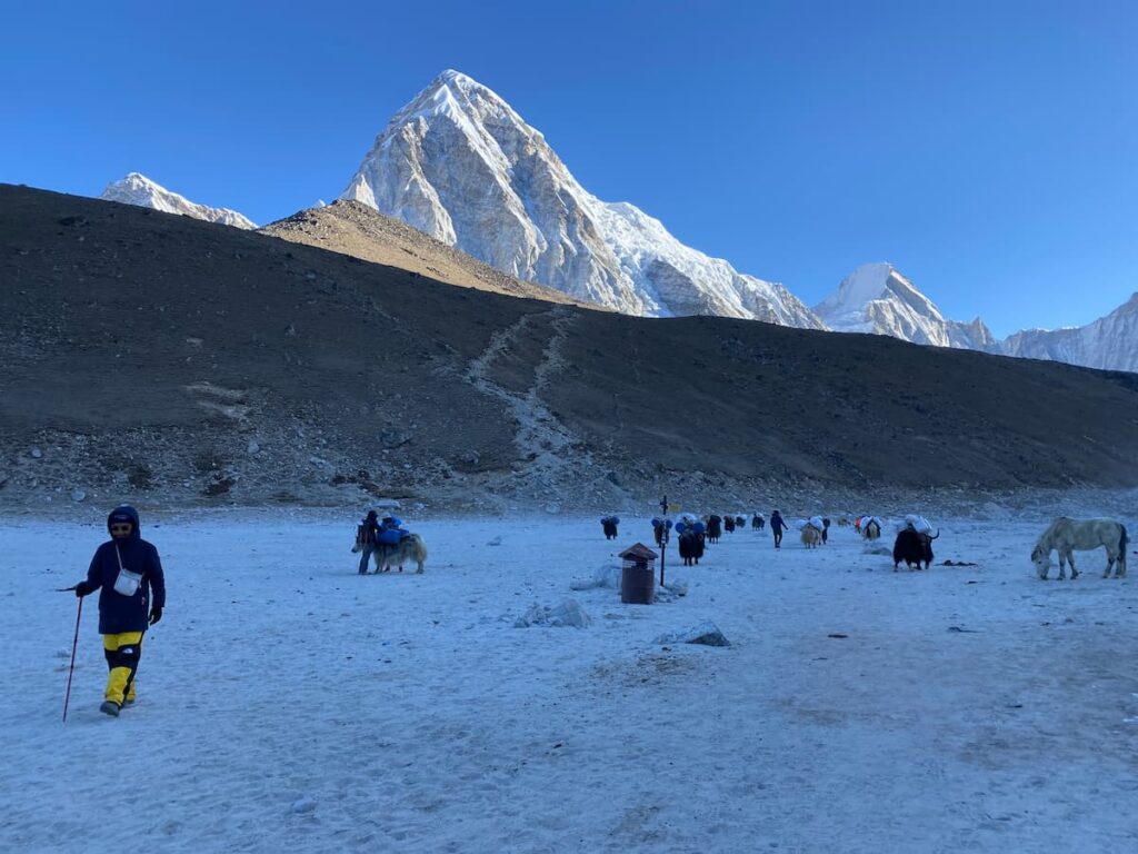 Mount Everest and Nuptse at sunrise viewed from Kala Patthar 5545m Khumbu region Nepal
