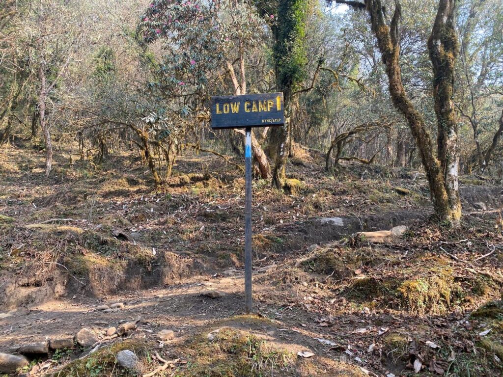Low Camp trail signboard surrounded by rhododendron forest on the Mardi Himal trekking trail