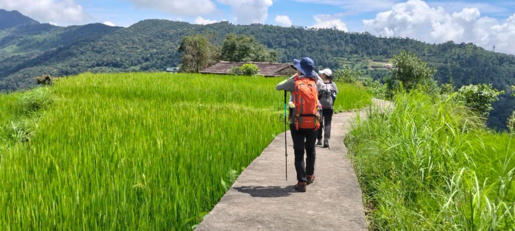 Two trekkers walking through lush green rice fields on the Dhampus hiking trail near Pokhara