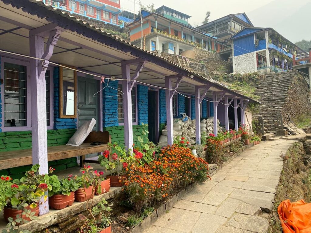Colourful tea house with marigold and geranium flower pots along a stone pathway in a traditional Gurung village