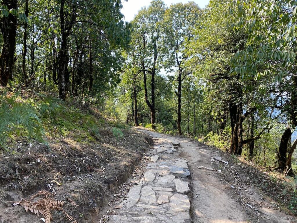 Scenic stone trekking trail through rhododendron forest on the Ghandruk trek in the Annapurna region