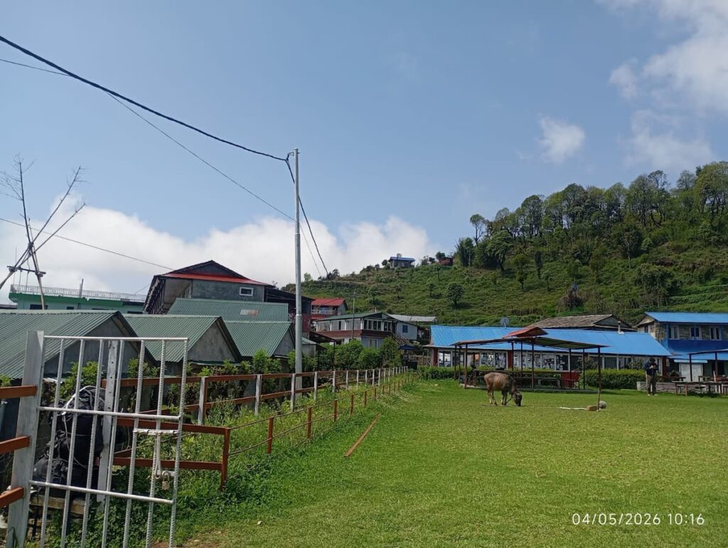Open green meadow and tea houses in Ghandruk village on the short Annapurna trek from Pokhara